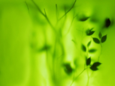 abstr lime green WEB